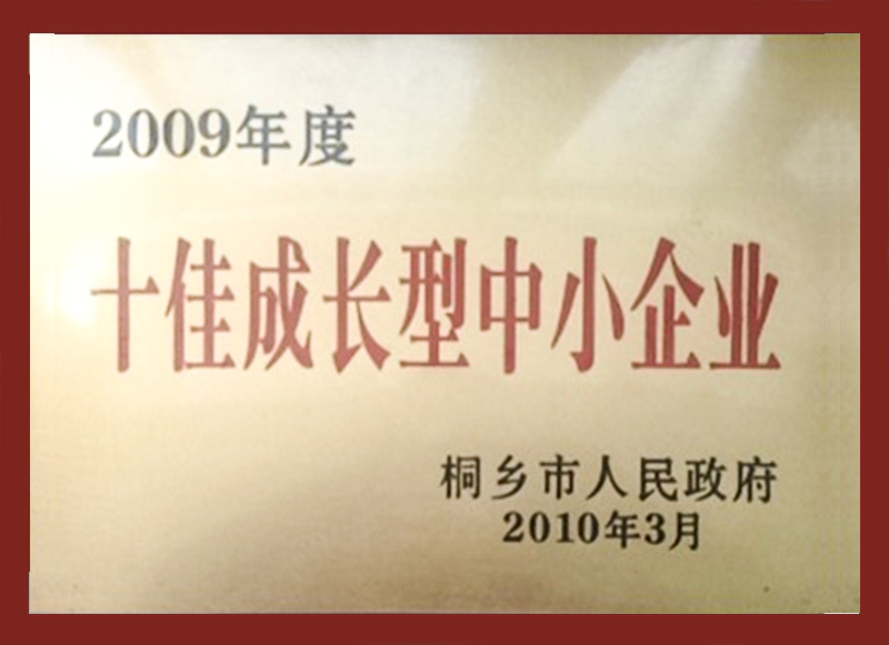 2009年度十佳成長(zhǎng)型中小企業(yè)